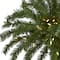 4ft. Pre-Lit Christmas Palm Artificial Tree with Warm White LED Lights